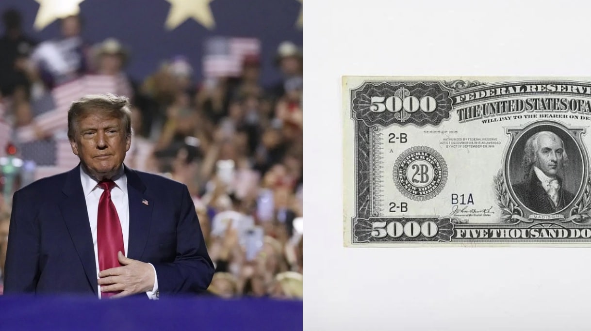 “SHOW US THE MONEY!” Here’s How to SuperCharge the Trump $5,000 Dividend, and Completely Change the Midterms