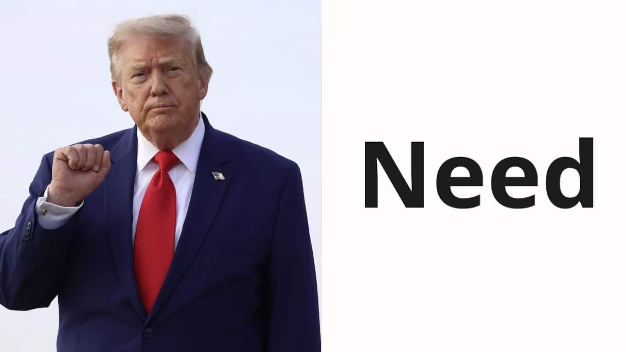 Forget “The SAVE Act.” It was Never Going to Pass. What America Needs is “The NEED Act.” Here is What We Need, and We Need It Now- Before the Midterms!